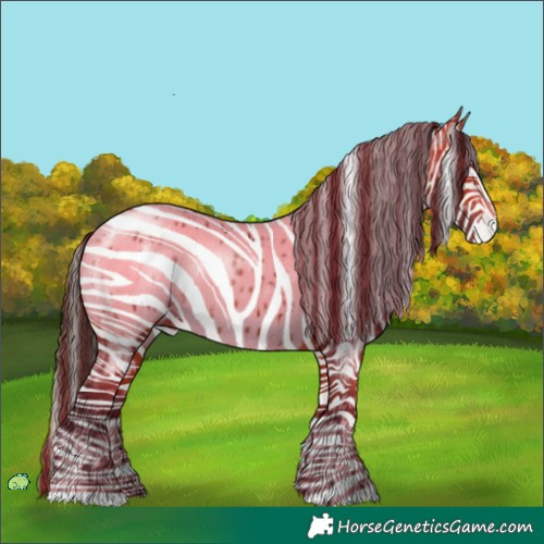 Horse Color:Bay Appaloosa and Bay Appaloosa