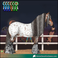 Horse Color:Bay Near Leopard  and Bay Near Leopard 