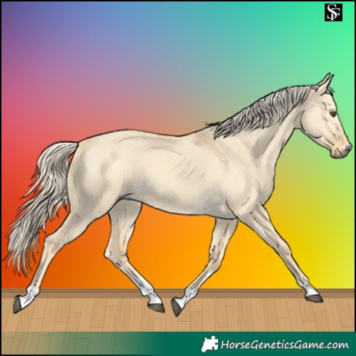 Horse Color:Palomino Dun 