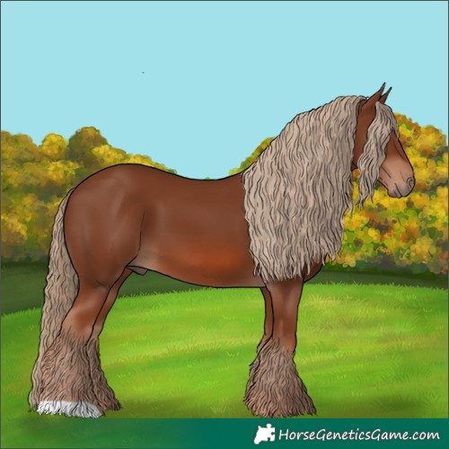 Horse Color:Chestnut 