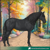 Horse Color:Black 