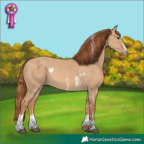 Horse Color:Red Dun Sabino Rabicano 