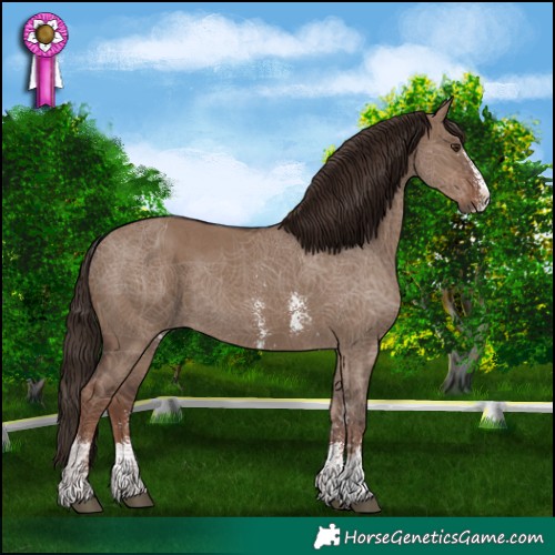 Horse Color:Liver Red Dun Sabino Rabicano 