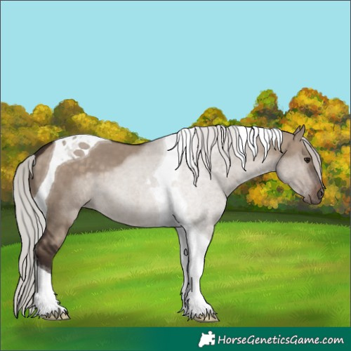 Horse Color:Silver Brown Dun Tobiano 