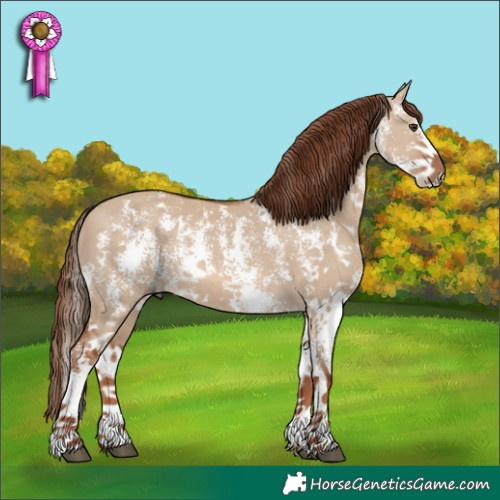 Horse Color:Red Dun Sabino Rabicano 