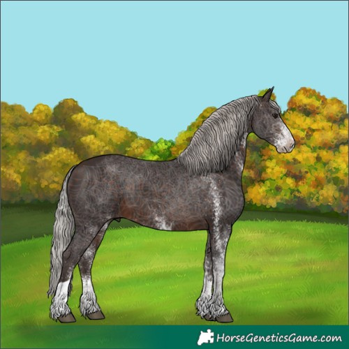 Horse Color:White Spotted Silver Brown Tobiano 