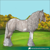 Horse Color:Silver Blue Roan Tobiano Frame 