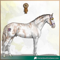 Horse Color:Black Pearl Sabino Splash 