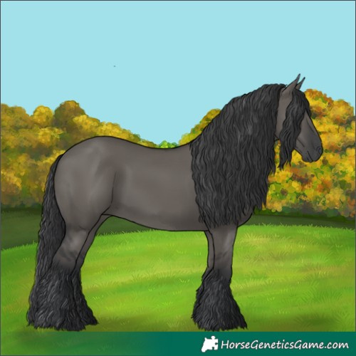 Horse Color:Grullo Rabicano 