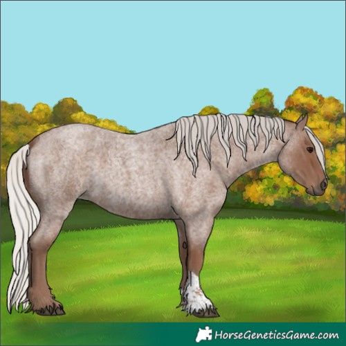 Horse Color:Silver Blue Roan Sabino