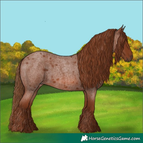 Horse Color:Red Roan 