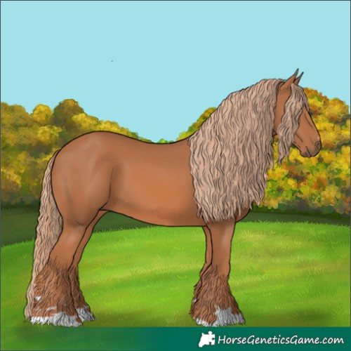 Horse Color:Chestnut 