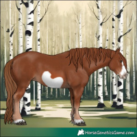 Horse Color:Chestnut Frame 