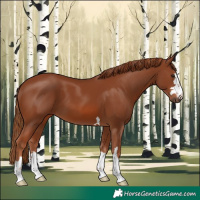 Horse Color:Chestnut 