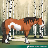 Horse Color:Bay Frame 