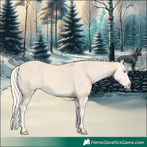 Horse Color:Cremello Splash  and Cremello Splash 