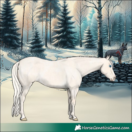 Horse Color:Cremello Roan Splash  and Cremello Roan Splash Appaloosa 