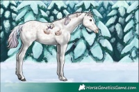 Horse Color:Nacre Liver Chestnut Ice Sabino
