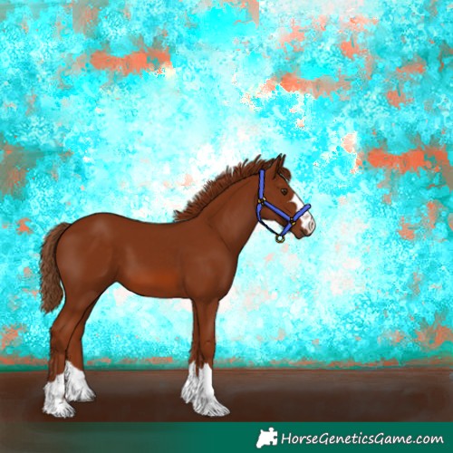 Horse Color:Chestnut 