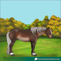 Horse Color:Silver Brown 