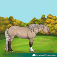 Horse Color:Silver Brown Dun