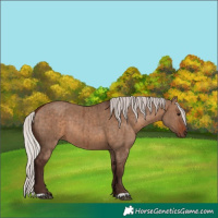 Horse Color:Silver Brown Dun Brindle 