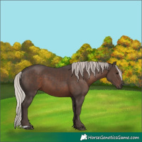 Horse Color:Silver Black 