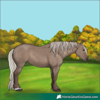 Horse Color:Silver Grullo Rabicano