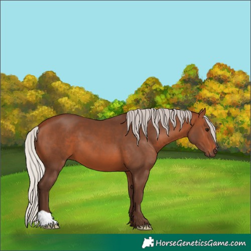 Horse Color:Silver Brown 