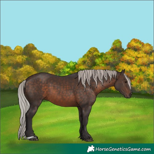 Horse Color:Silver Brown 