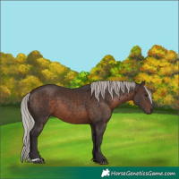 Horse Color:Silver Brown 