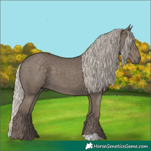 Horse Color:Silver Black 