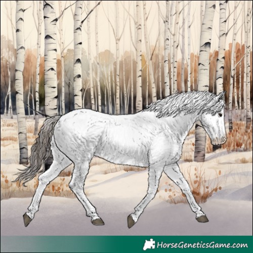 Horse Color:White Spotted Bay