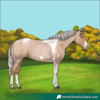 Horse Color:Silver Blue Roan Pearl Tobiano Frame 