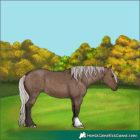 Horse Color:Silver Brown Dun Brindle