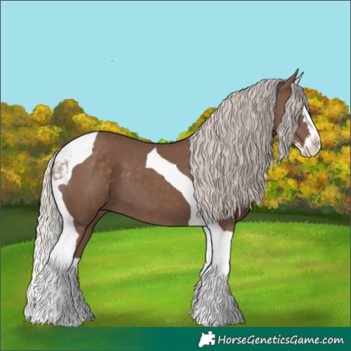 Horse Color:Silver Black Splash Tobiano 