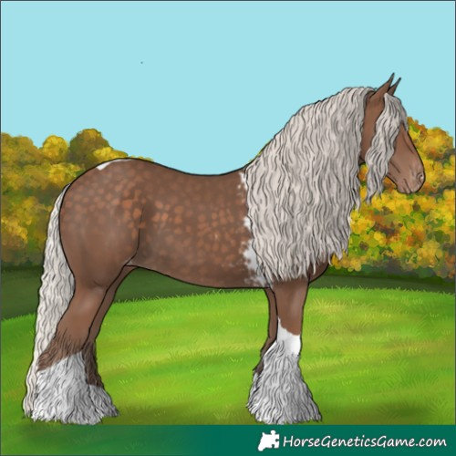 Horse Color:Silver Black Tobiano Skewed Appaloosa