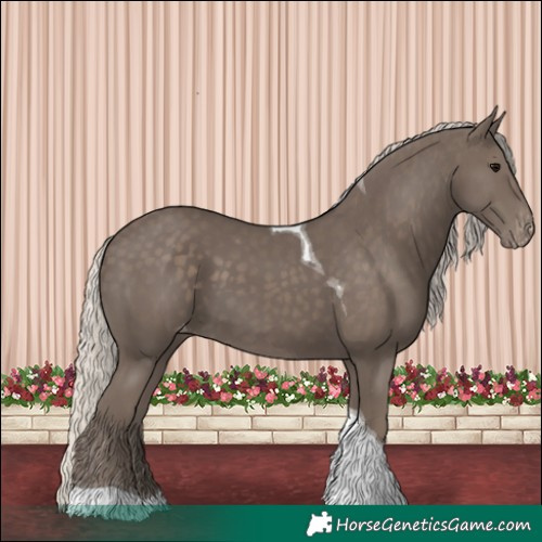 Horse Color:Silver Black Tobiano Skewed LP Spotted