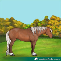 Horse Color:Silver Brown 