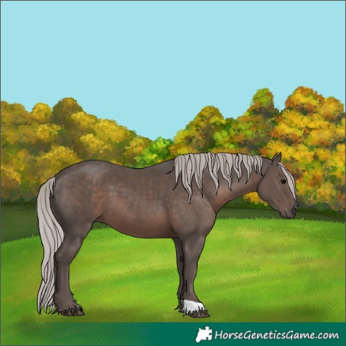 Horse Color:Silver Black 