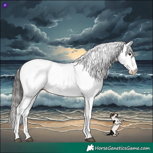 Horse Color:White Spotted Bay 