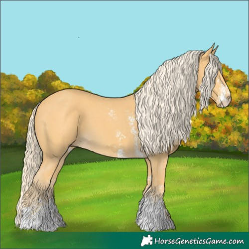 Horse Color:Palomino Sabino