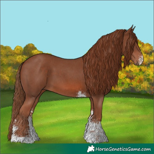 Horse Color:Chestnut Sabino