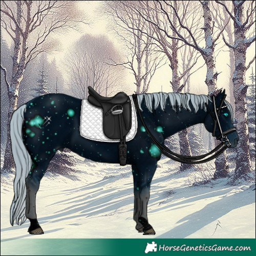 Horse Color:ERROR: UNKNOWN ANOMALY