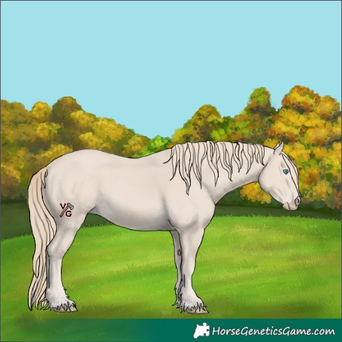 Horse Color:Smoky Creme 