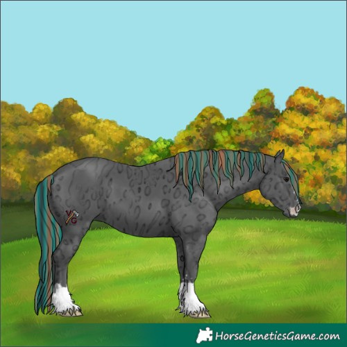 Horse Color:Painted Black Ice 