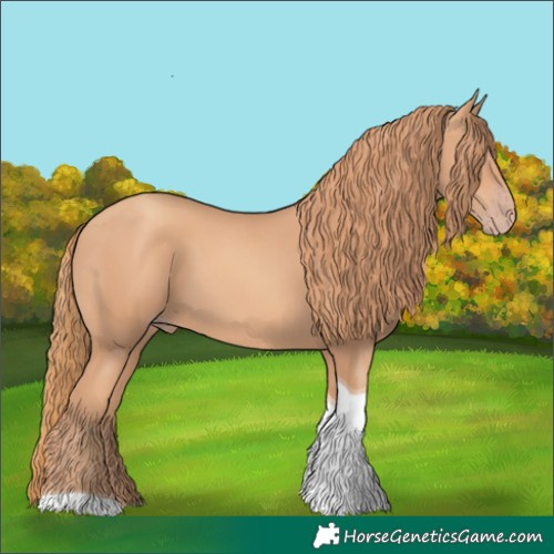 Horse Color:Gold Champagne Tobiano