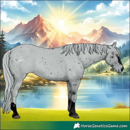 Horse Color:ERROR: UNKNOWN ANOMALY
