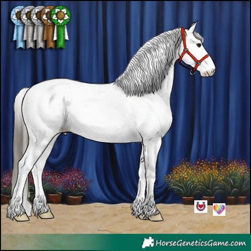Horse Color:White Spotted Bay