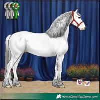 Horse Color:White Spotted Bay 